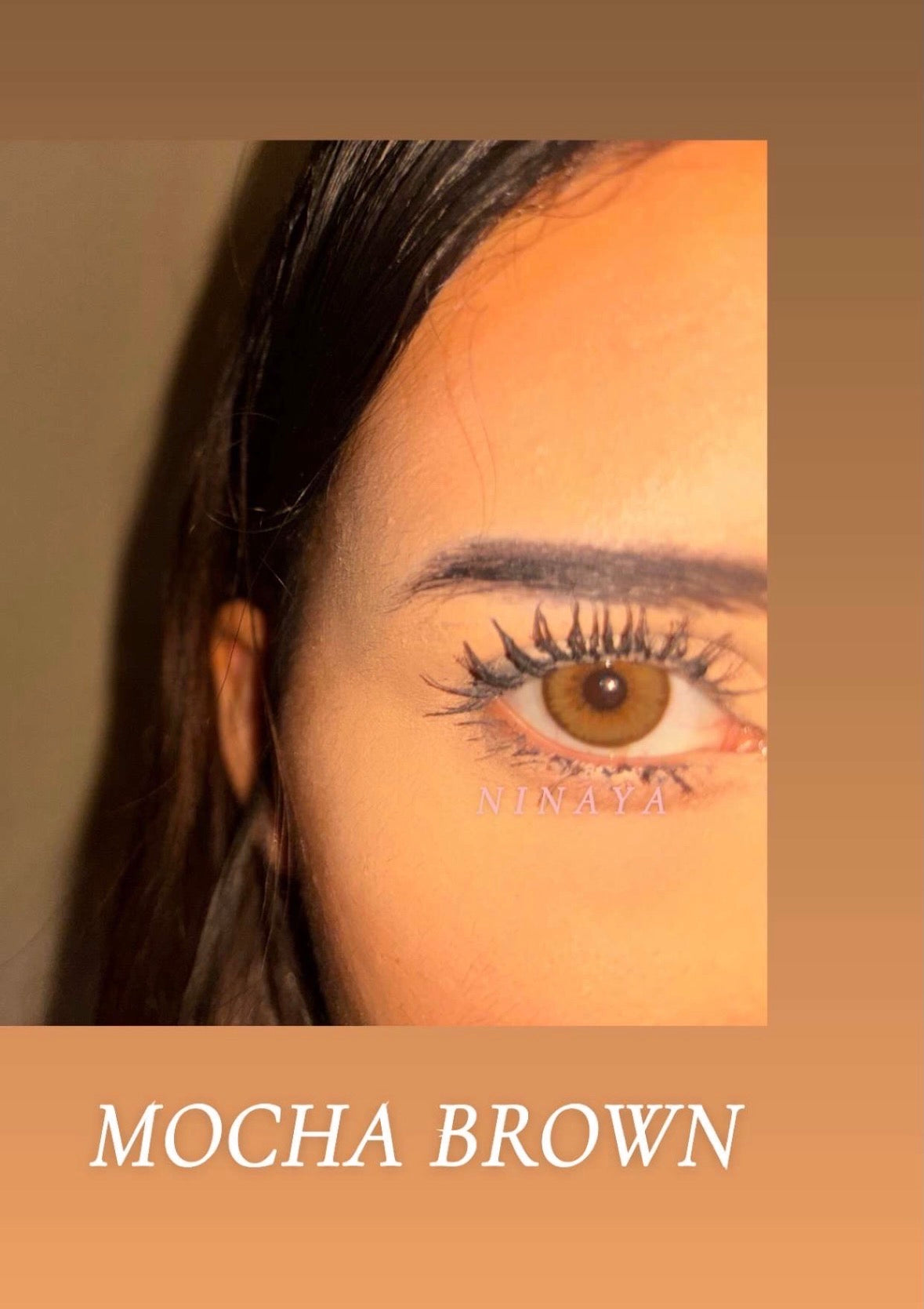 Lentille cosmétique - annuel mocha brown 🥮