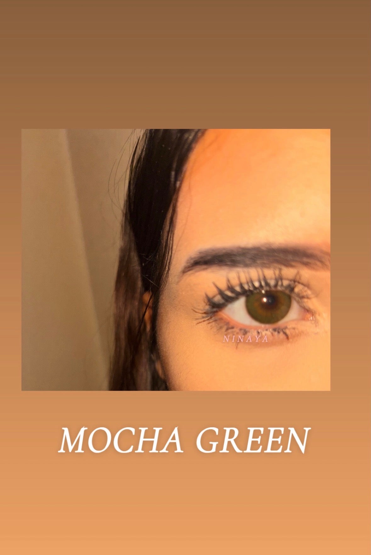 Lentilles cosmétique annuel - mocha Green