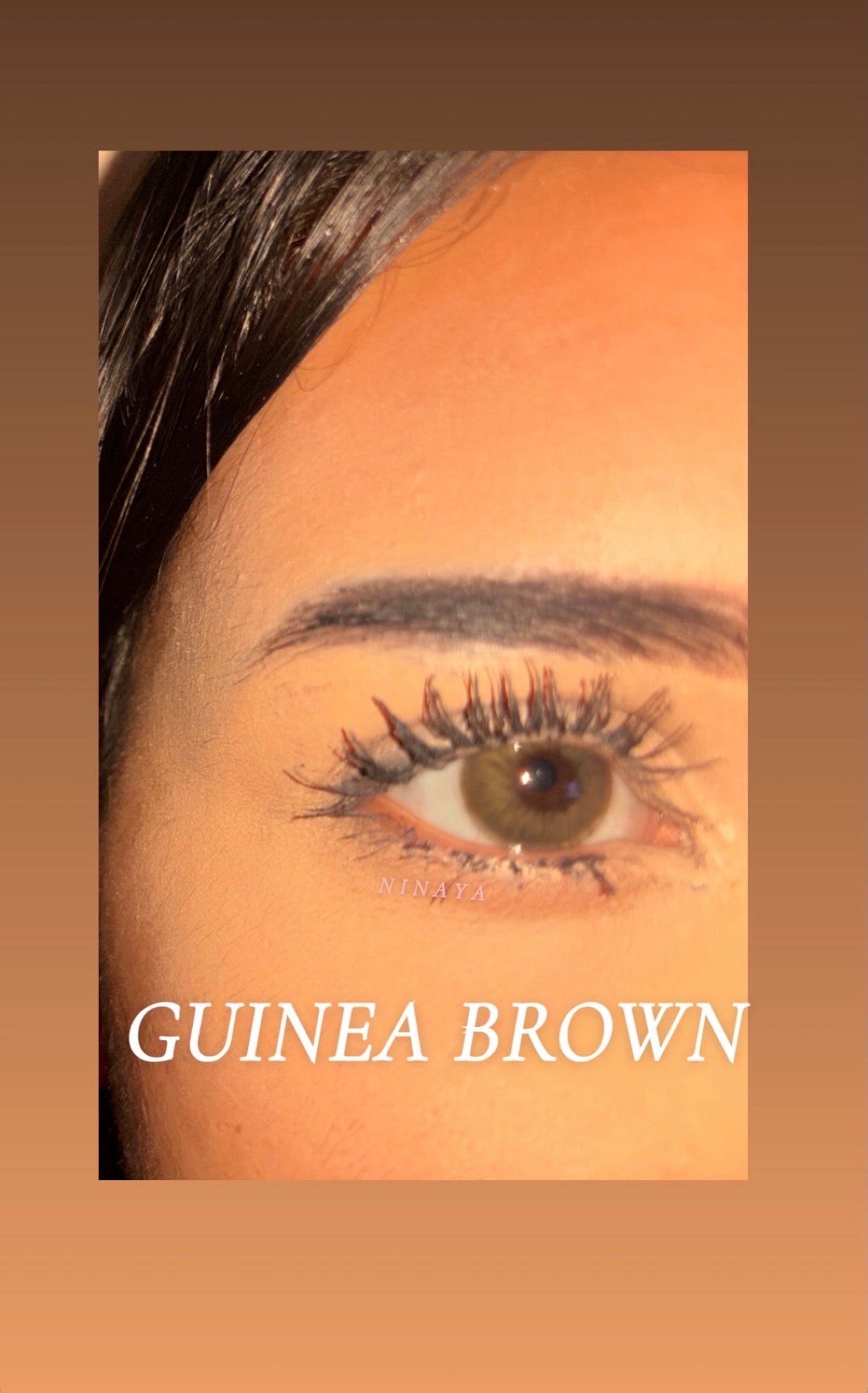 Lentilles annuel cosmétique - Guinea brown