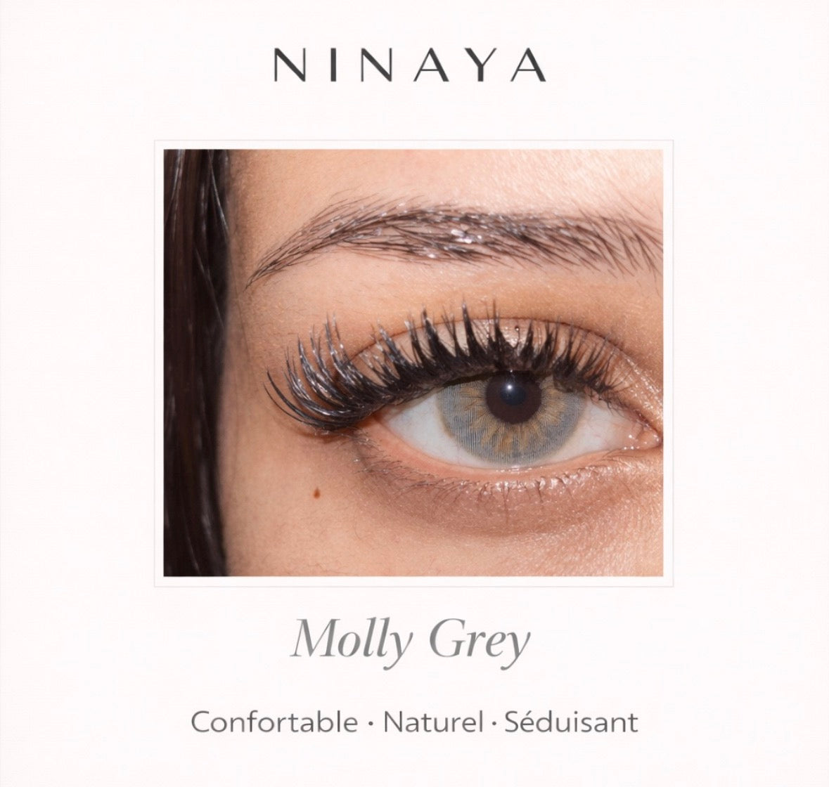 Lentille Annuel Cosmétique      Molly Gray 🐰